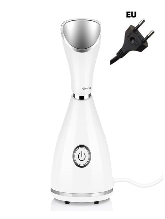 Skin Care Portable Professional Machine Personal Handheld Nano Ionic Face Sprayer Mini Custom Facial Steamer